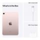 Apple iPad mini 6. Generation (2021, Wi-Fi, 64GB) - Rosé