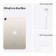 Apple iPad mini 6. Generation (2021, Wi-Fi, 256GB) – Polarstern
