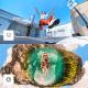 Insta360 ONE X2 - Wasserdichte Action-Kamera
