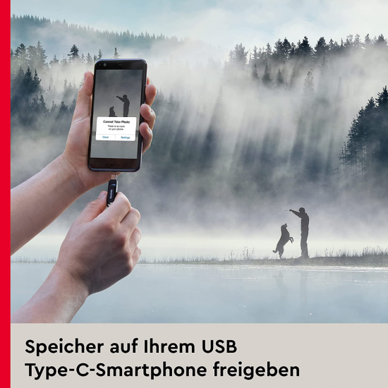 SanDisk Ultra 256 GB Dual Drive Go USB Typ C Flash-Laufwerk (Schwarz)